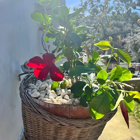 Il Cacciatore Casa de Férias