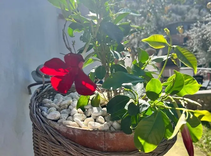 Il Cacciatore Feriehus