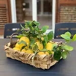 Il Cacciatore 別荘 ソレント