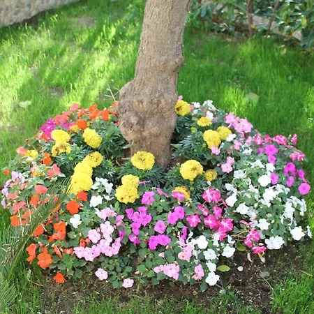 בית נופש Il Cacciatore סורנטו